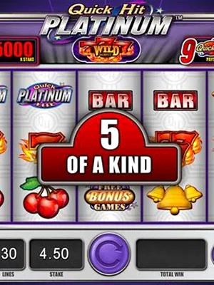 Quick Hit Platinum by Light & Wonder at Ballys Casino